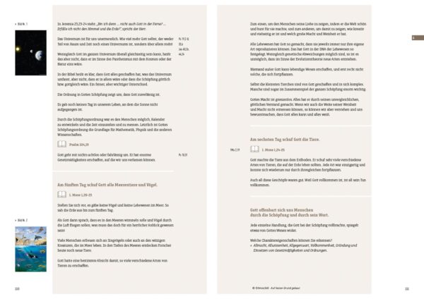 Auf festen Grund gebaut – Bild 5
